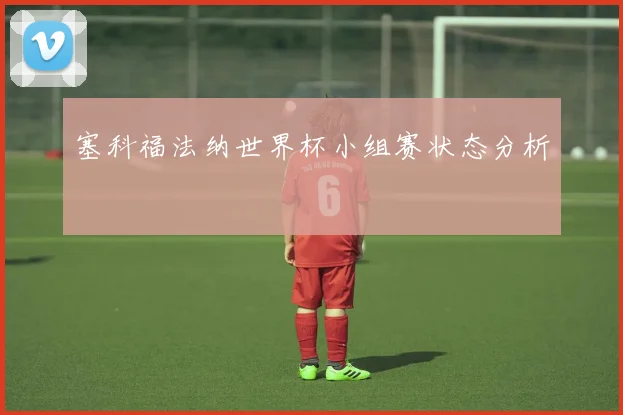塞科福法纳世界杯小组赛状态分析