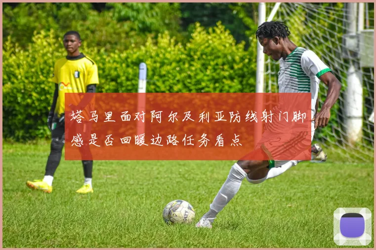 塔马里面对阿尔及利亚防线射门脚感是否回暖边路任务看点