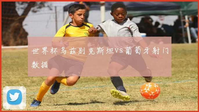 世界杯乌兹别克斯坦vs葡萄牙射门数据